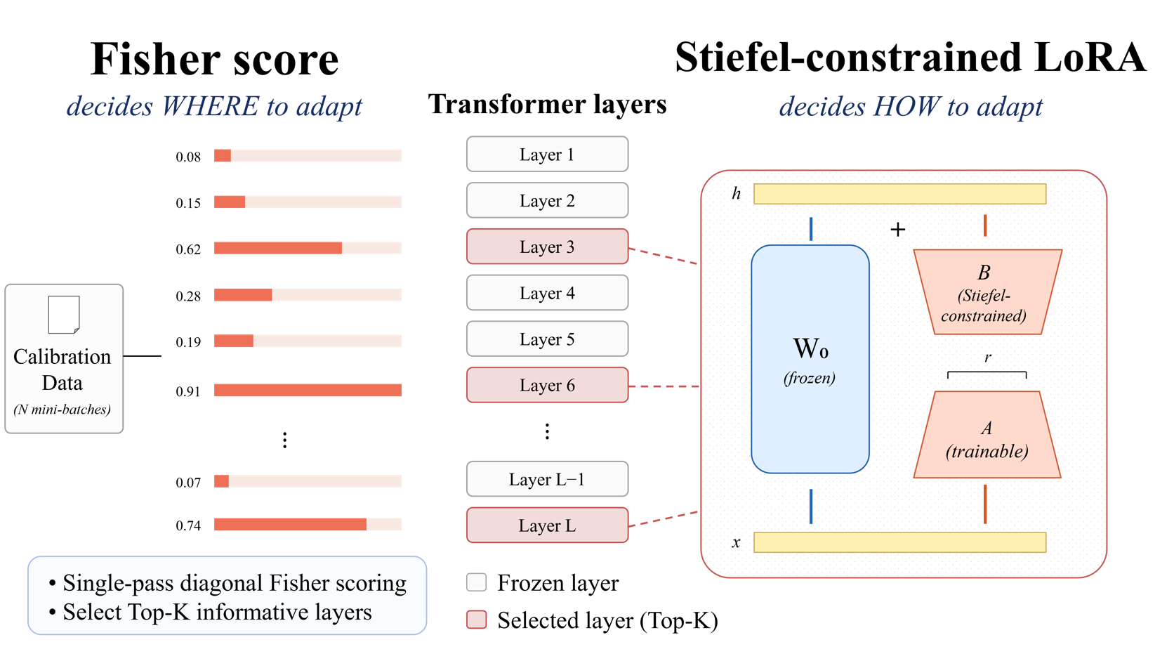 FORA overview diagram